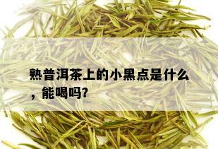 熟普洱茶上的小黑点是什么，能喝吗？