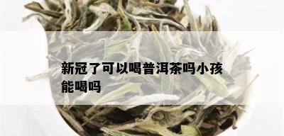 新冠了可以喝普洱茶吗小孩能喝吗