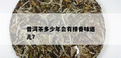 普洱茶多少年会有樟香味道儿？