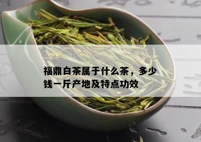 福鼎白茶属于什么茶，多少钱一斤产地及特点功效