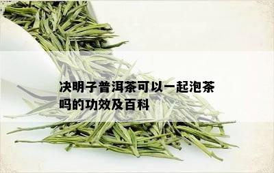 决明子普洱茶可以一起泡茶吗的功效及百科