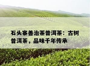 石头寨善治茶普洱茶：古树普洱茶，品味千年传承