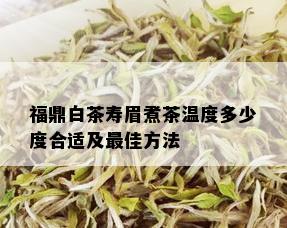 福鼎白茶寿眉煮茶温度多少度合适及更佳方法