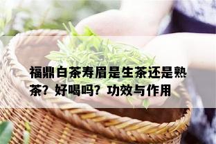 福鼎白茶寿眉是生茶还是熟茶？好喝吗？功效与作用