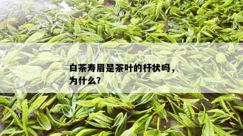 白茶寿眉是茶叶的杆状吗，为什么？