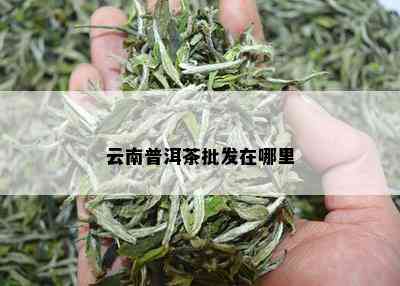 云南普洱茶批发在哪里