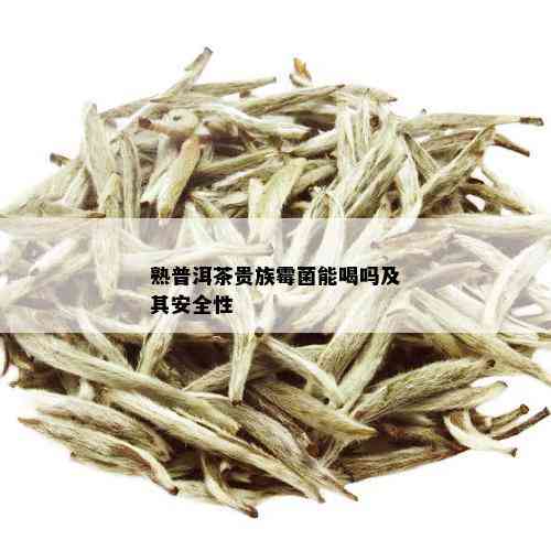 熟普洱茶贵族霉菌能喝吗及其安全性