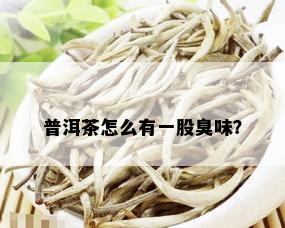 普洱茶怎么有一股臭味？