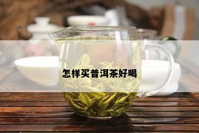 怎样买普洱茶好喝