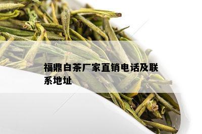 福鼎白茶厂家直销电话及联系地址