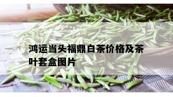 鸿运当头福鼎白茶价格及茶叶套盒图片