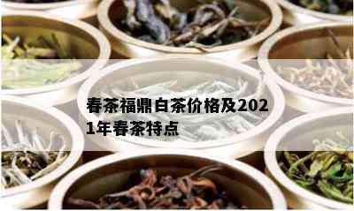 春茶福鼎白茶价格及2021年春茶特点