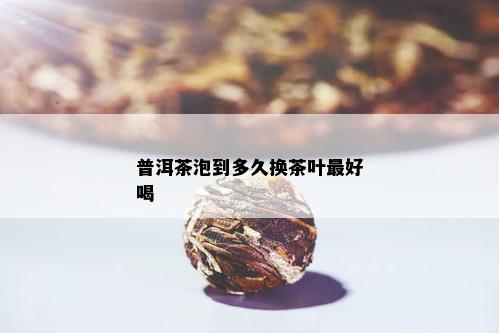 普洱茶泡到多久换茶叶更好喝