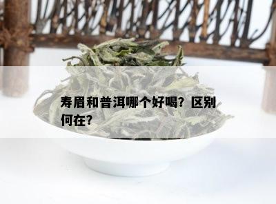 寿眉和普洱哪个好喝？区别何在？