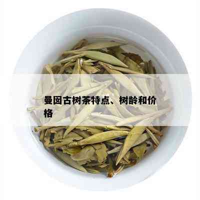 曼囡古树茶特点、树龄和价格