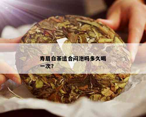 寿眉白茶适合闷泡吗多久喝一次?