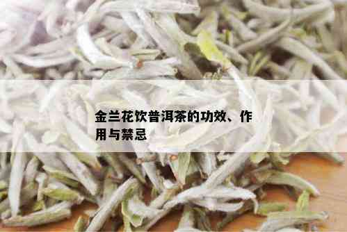 金兰花饮普洱茶的功效、作用与禁忌