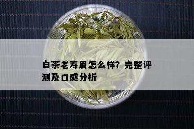 白茶老寿眉怎么样？完整评测及口感分析