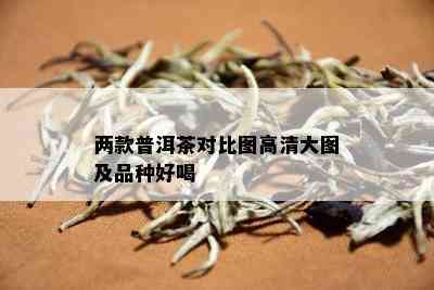 两款普洱茶对比图高清大图及品种好喝