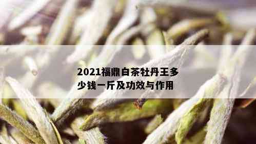 2021福鼎白茶牡丹王多少钱一斤及功效与作用