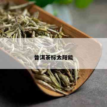 普洱茶标太阳能