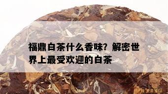 福鼎白茶什么香味？解密世界上更受欢迎的白茶