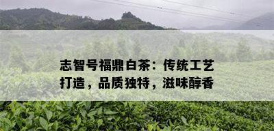 志智号福鼎白茶：传统工艺打造，品质独特，滋味醇香