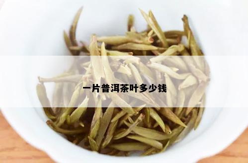 一片普洱茶叶多少钱