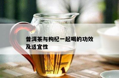 普洱茶与枸杞一起喝的功效及适宜性