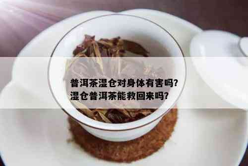 普洱茶湿仓对身体有害吗？湿仓普洱茶能救回来吗？