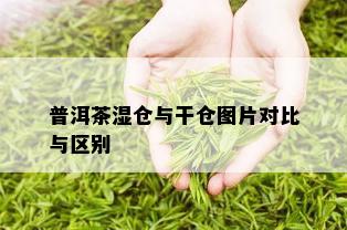 普洱茶湿仓与干仓图片对比与区别