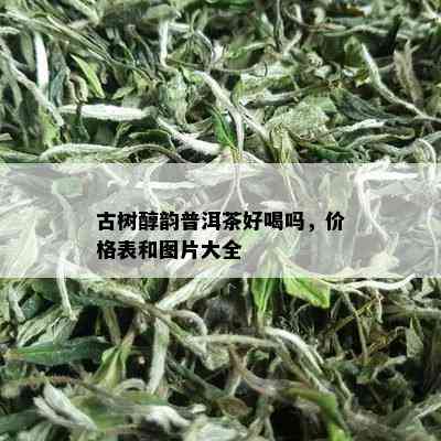 古树醇韵普洱茶好喝吗，价格表和图片大全