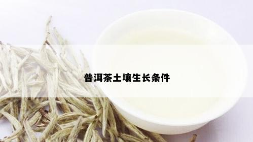 普洱茶土壤生长条件