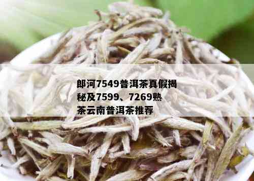 郎河7549普洱茶真假揭秘及7599、7269熟茶云南普洱茶推荐