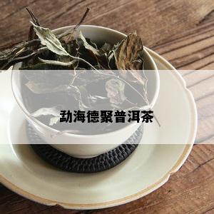 勐海德聚普洱茶