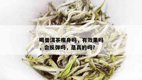 喝普洱茶瘦身吗，有效果吗，会反弹吗，是真的吗？