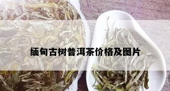 缅甸古树普洱茶价格及图片