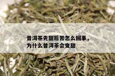 普洱茶先甜后苦怎么回事，为什么普洱茶会变甜