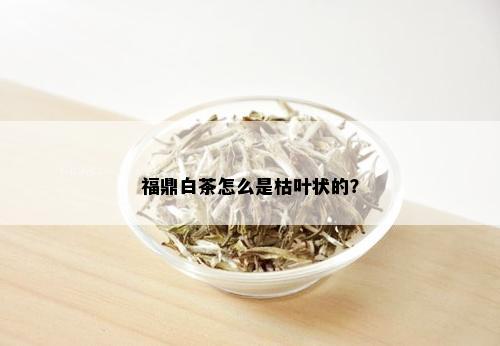 福鼎白茶怎么是枯叶状的？