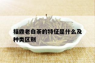 福鼎老白茶的特征是什么及种类区别