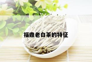 福鼎老白茶的特征