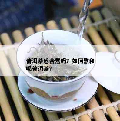 普洱茶适合煮吗？如何煮和喝普洱茶？