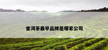 普洱茶最早品牌是哪家公司