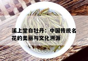 溪上堂白牡丹：中国传统名花的美丽与文化溯源