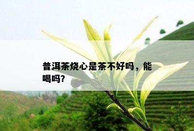 普洱茶烧心是茶不好吗，能喝吗？