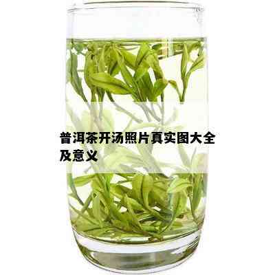 普洱茶开汤照片真实图大全及意义