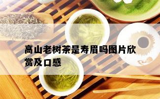 高山老树茶是寿眉吗图片欣赏及口感