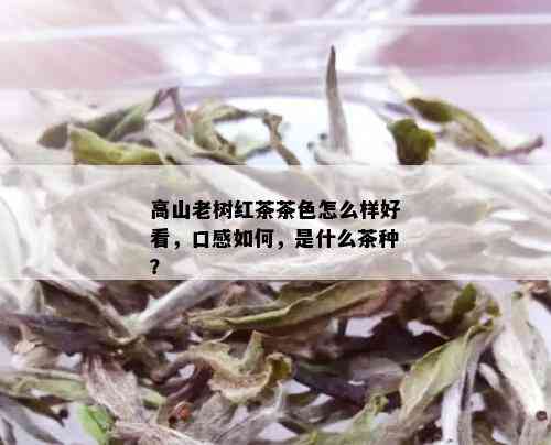 高山老树红茶茶色怎么样好看，口感如何，是什么茶种？