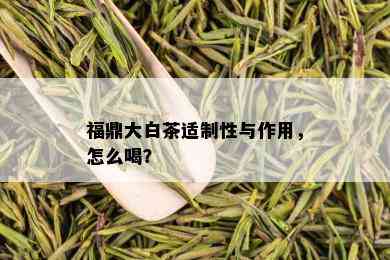 福鼎大白茶适制性与作用，怎么喝？