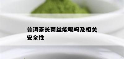 普洱茶长菌丝能喝吗及相关安全性